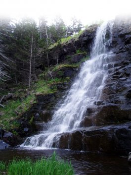 Delaps Cove Waterfall